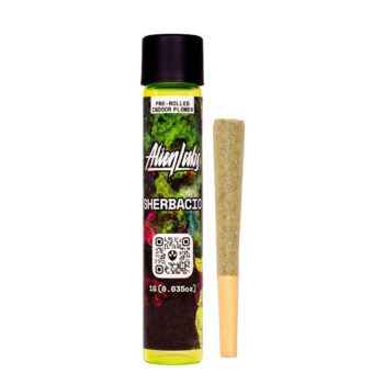 Sherbacio 5Pk -1G Pre-roll