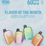 FLUM PEBBLE 6000 PUFF - 5PCS