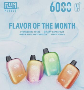 FLUM PEBBLE 6000 PUFF - 5PCS
