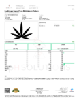 Ice_Kream_Sugar_Cone_5Ct_Bubblegum_Gelato