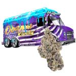 OBAMA KANDY HAULER