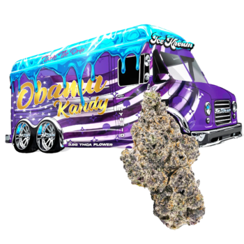 OBAMA KANDY HAULER