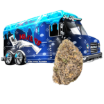 JOKERS HAULER