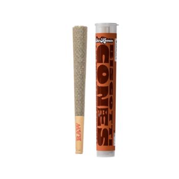THCP BISCOTTI CONES